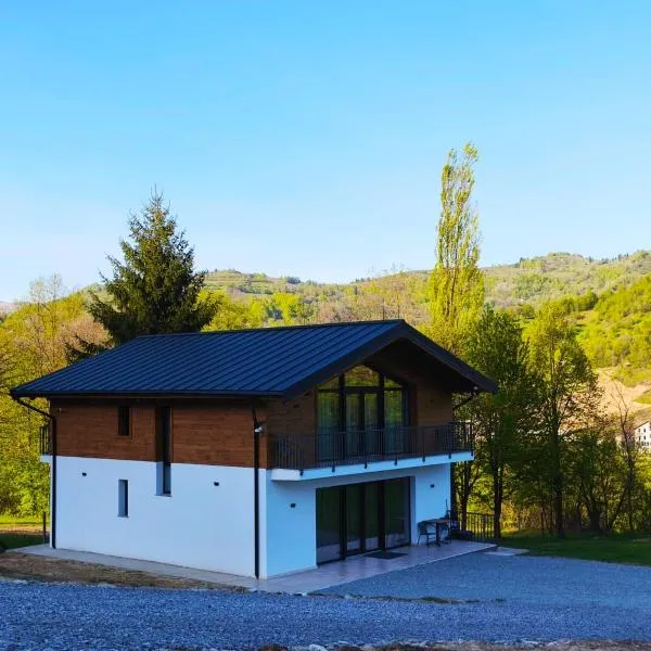 EDEN HOUSE Viseu de Sus, hotell sihtkohas Vişeu de Sus