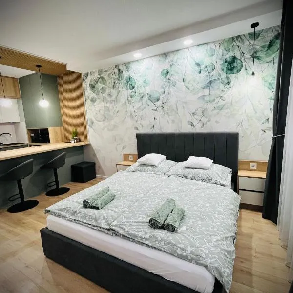 Sugo Studio Apartman, hôtel à Baja