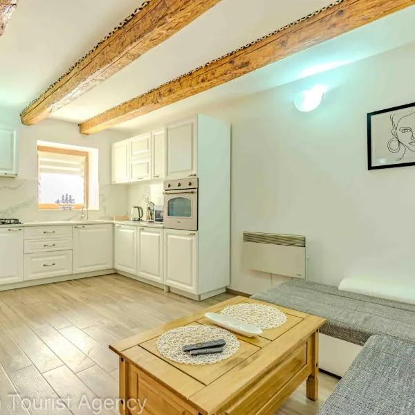 Blue Horizon - beautiful terrace with grill, hotel in Metajna