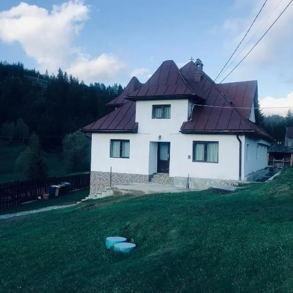 Pensiunea Valea Dorului, hotel in Fundăţica