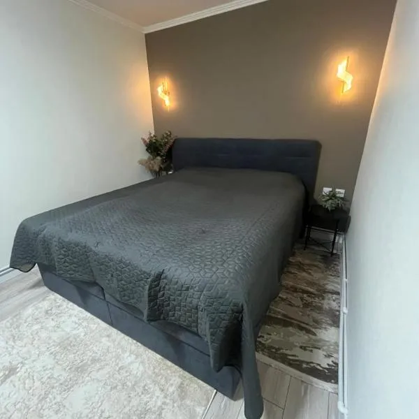 Дом Мария, ξενοδοχείο σε Bălţi