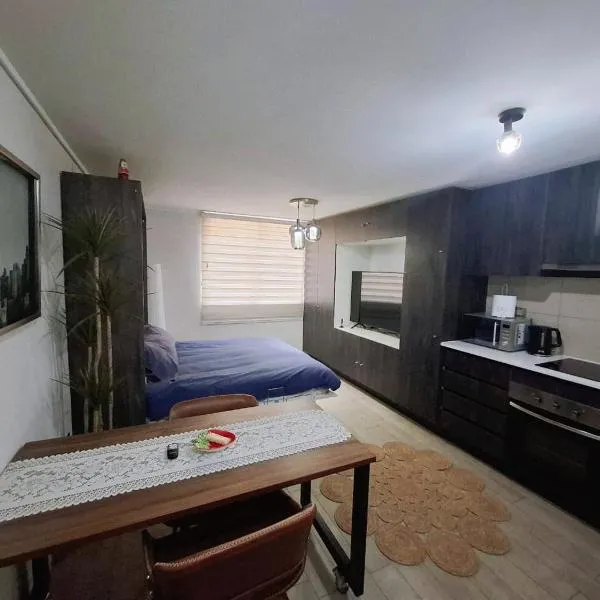 Departamento estudio frente al Parque Ohiggins y Movistar Arena, hôtel à Santiago