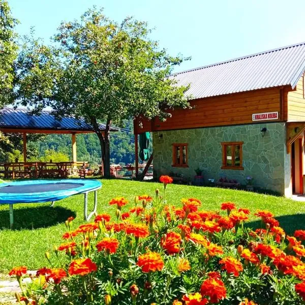 Kraljska koliba - Kralje's Cottage, hotel in Andrijevica