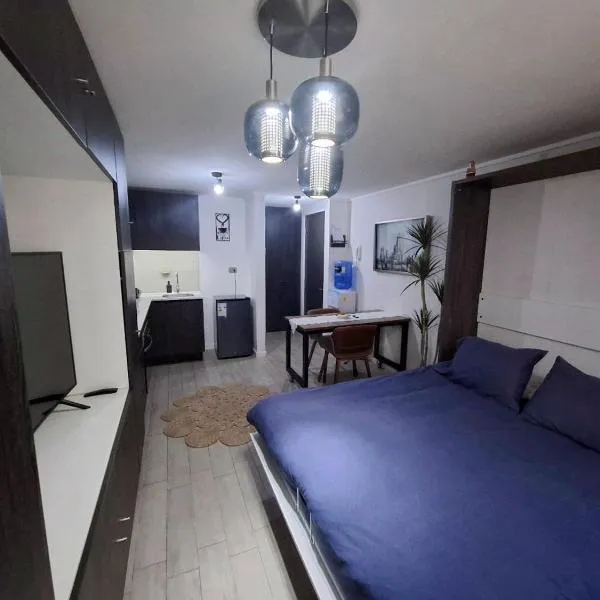 Departamento Estudio Santiago, hotel in Santiago