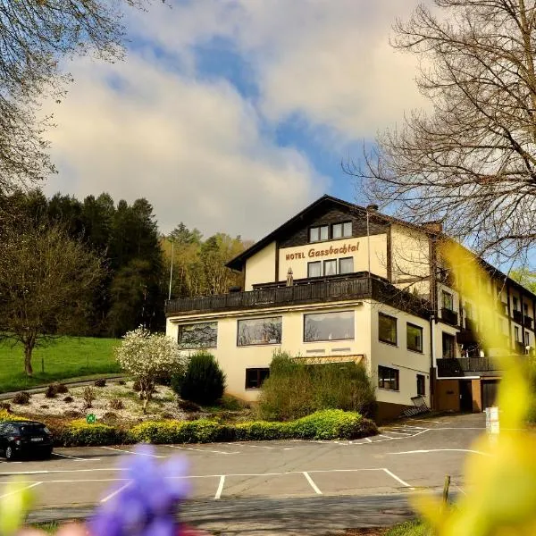 Natur & Wander Hotel Gassbachtal, ξενοδοχείο σε Grasellenbach