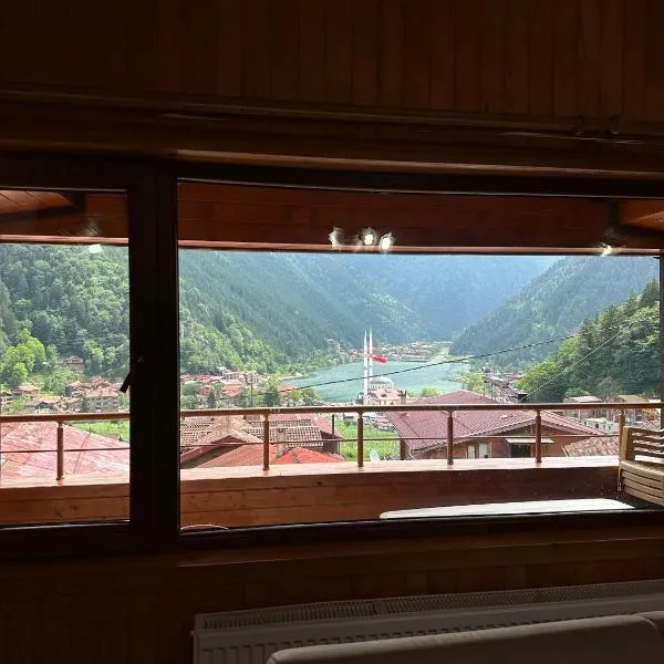 Ala Pansiyon, hotell sihtkohas Çaykara