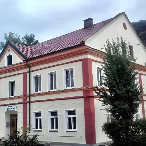 Gasthaus Jungwirth - Family Boutique Pension，位于Wanghausen的酒店