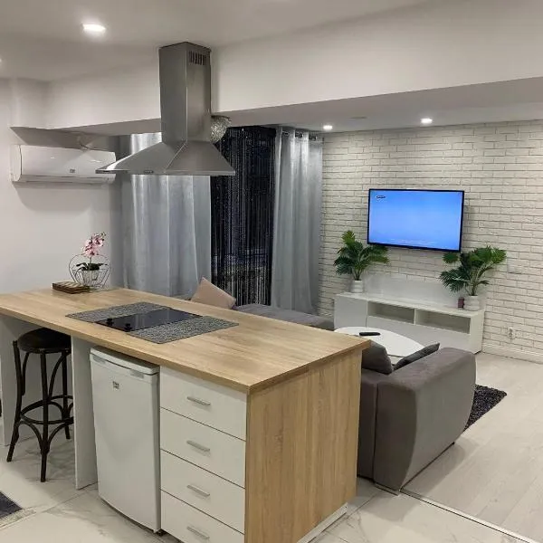 Apartcentral1, hotel in Calafat