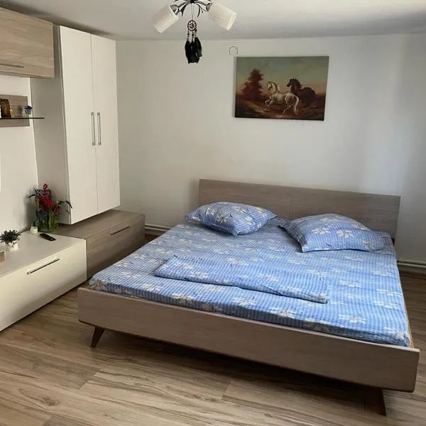 Căsuța Verde, hotell sihtkohas 2 Mai