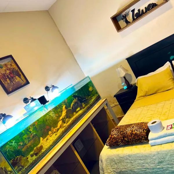 habitación relax, hermosos peces y plantas, ξενοδοχείο στην Κοτσαμπάμπα