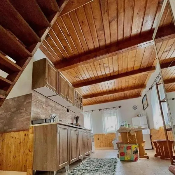 Brigitta Nyaralóház Poroszló, hotel in Poroszló