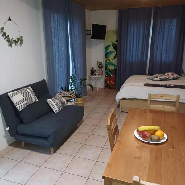 Studio de vacances avec vue sur le lac de Morat, hotel in Salavaux