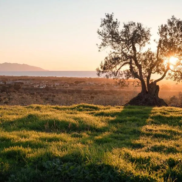Agriturismo Podere L'Agave, hotel en San Vincenzo