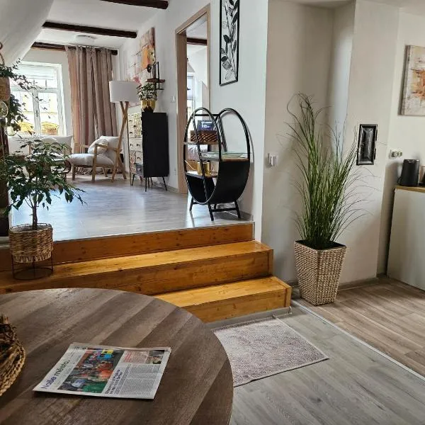 Apartmán Andromeda、スヴィタヴィのホテル