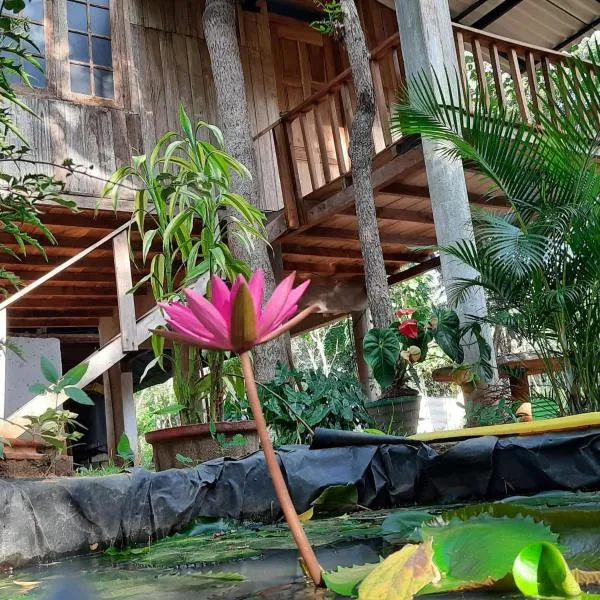 Ruk Sewana Villa Tree House, hotel in Sigiriya