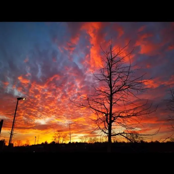 Luxury living- colindale garden -Double room, hôtel à Colindale