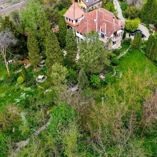 Villa Castelul Maria, hotel di Banpotoc