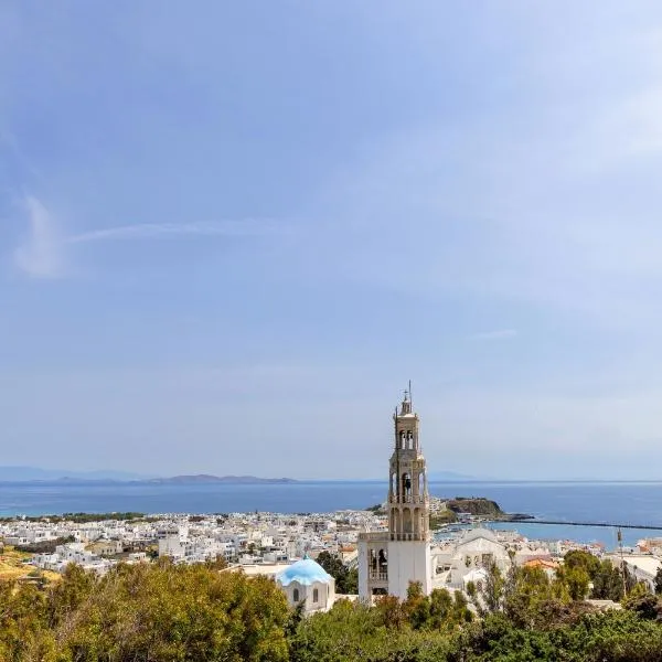 Epavlis Petrou Siwtou, hotel in Tinos Town