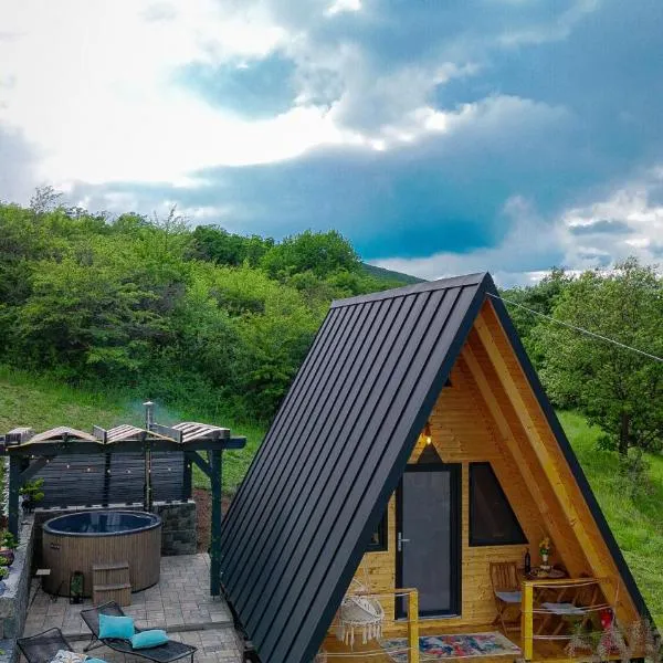 A FRAME 1 TRANSALPINA, hôtel à Petreşti