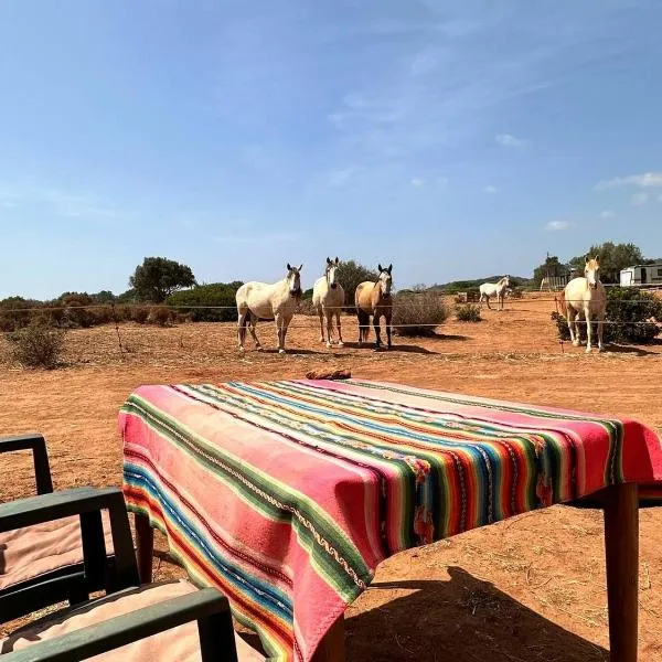 Michas caravan for 2 See the herd of horses from your bed, hotell sihtkohas Barão de São João