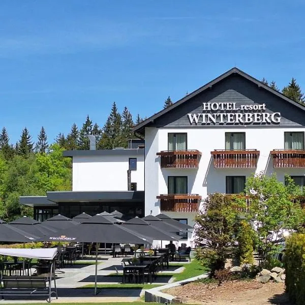 Hotel Winterberg Resort, Hotel in Winterberg