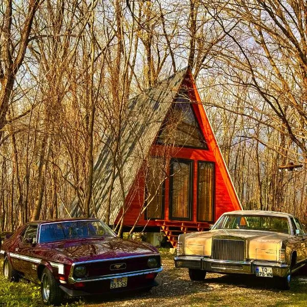 Villa Ioseliani, hotel in Kumistavi