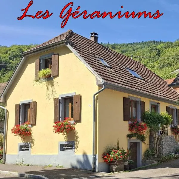 Maison Les Géraniums parking privé moto, ξενοδοχείο σε Linthal