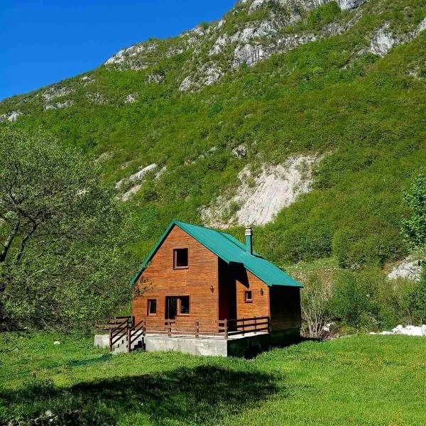 Vila Kraljica Planina, hotel in Šavnik