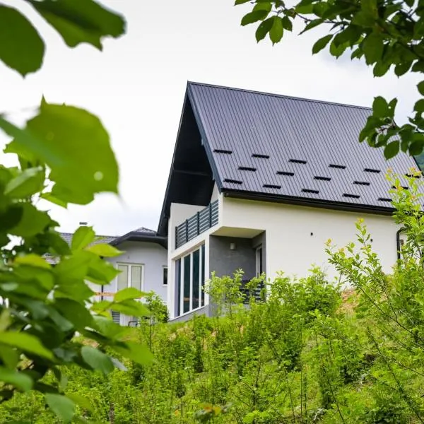 Ćato s cottage, hotel in Bravnice