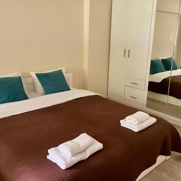 The art place, hotel in Vidin