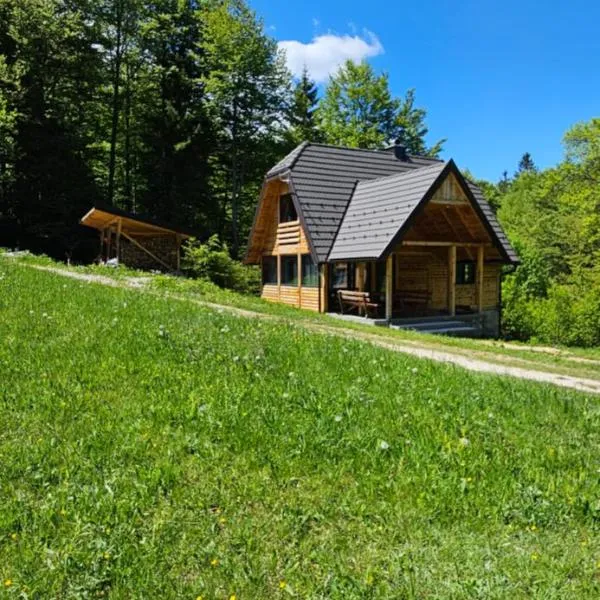 Forest Fairy, hotell sihtkohas Šljivovica