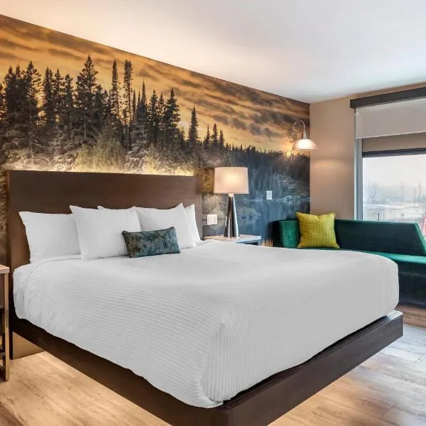 Cambria Hotel Shelby Township - Detroit Utica, hotel in Shelby