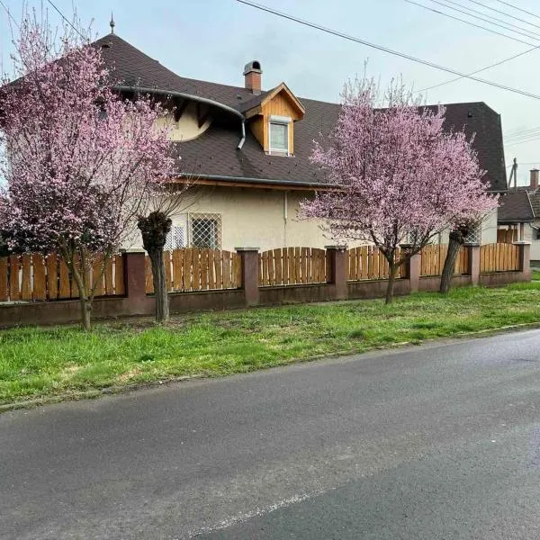 Tüskevár Panzió、アバッザロークのホテル