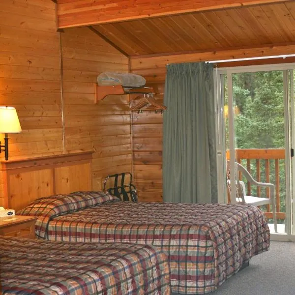 Denali Grizzly Bear Resort, hotel in McKinley Park