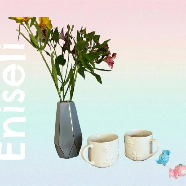 Eniseli, hotel in Chakvi