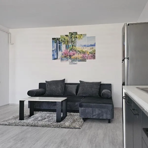 Apartament Residence, hotel v destinaci Kalaraši