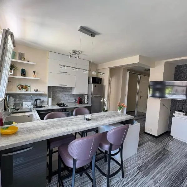 Elegant Apartment Terrace Port of Nice, hotel v Nice