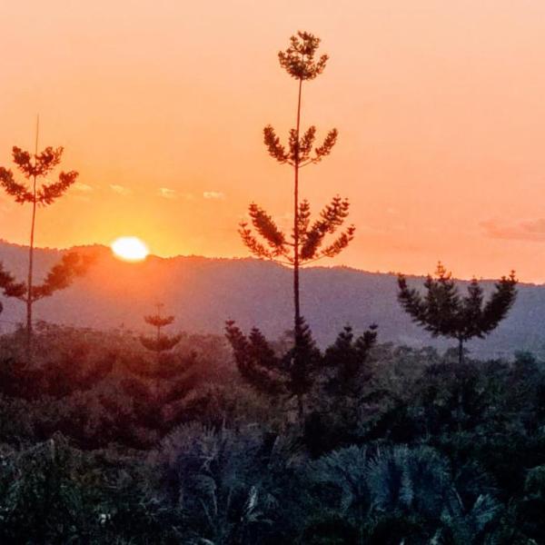 Borapami Estates, Melinda Airstrip