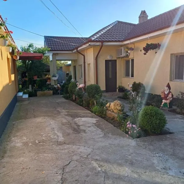 Cazare Schitul Sf Gherasim, hotell sihtkohas Cobadin