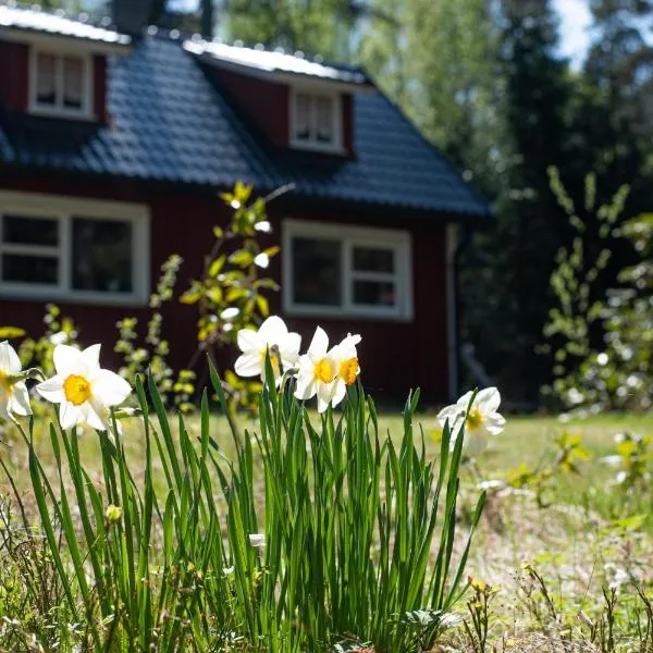 Private Plan Torpet Cabin, hotel in Södra Ström