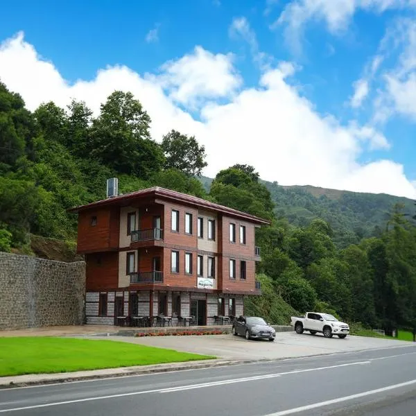 Mayavera Otel, hotel em Ardeşen