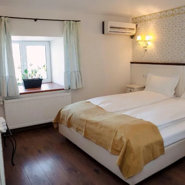 Piazzetta Bacau, hotel in Bacău