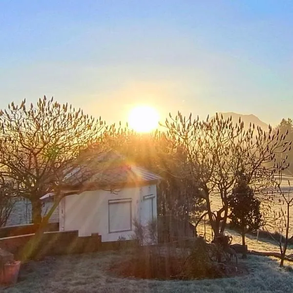 Single Tiny House Salzkammergut, hotel in Regau