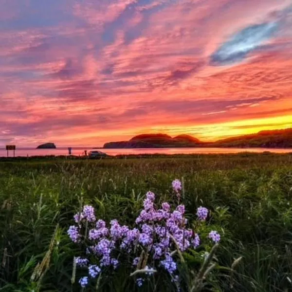 Red Sunset Cottage in Twillingate, ξενοδοχείο σε Twillingate