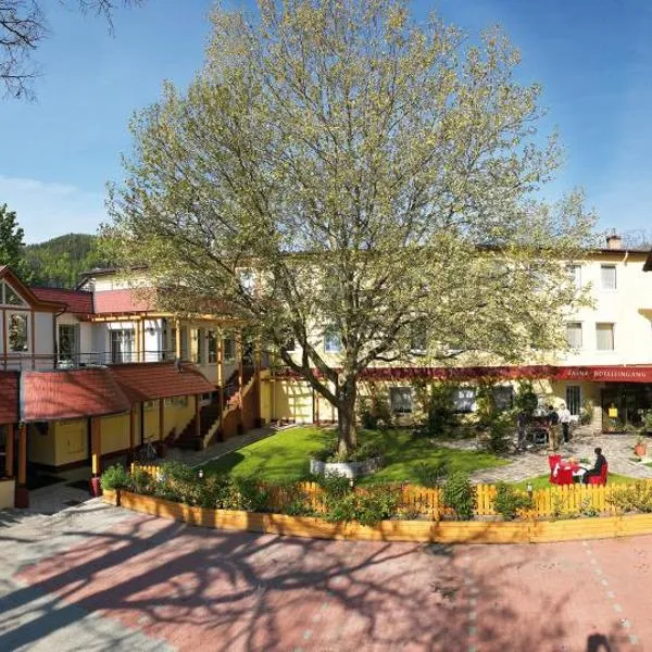 Hotel Payerbacherhof, ξενοδοχείο σε Payerbach