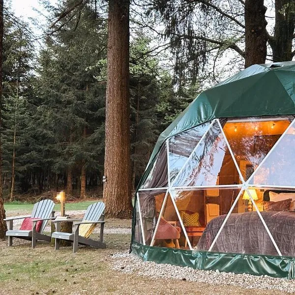 High Moor Glamping, hotel in Jalhay