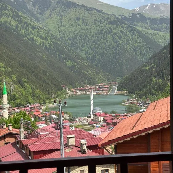 Şimo Suite Otel, hotel in Uzungol