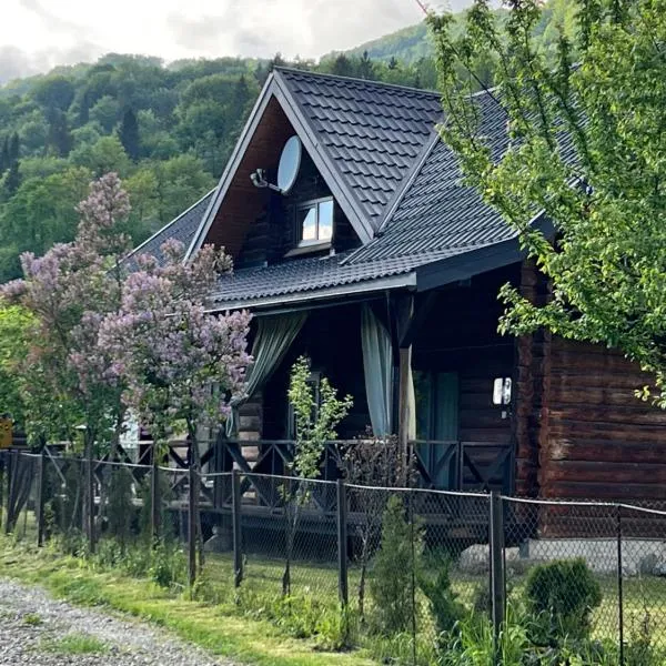 Заворіття, hôtel à Sheshory