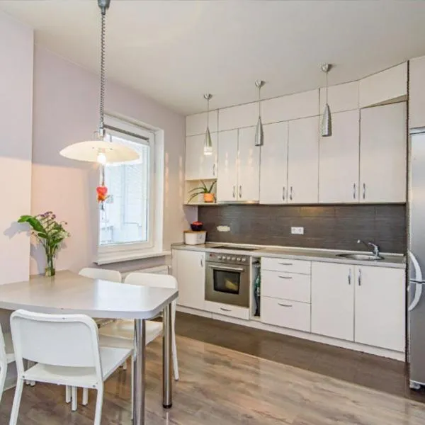 Apartment Beauty, Hotel in Vilnius
