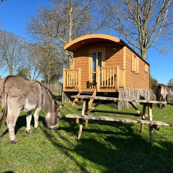 La Roulotte du Moulin de Thimougies, hotell sihtkohas Tournai